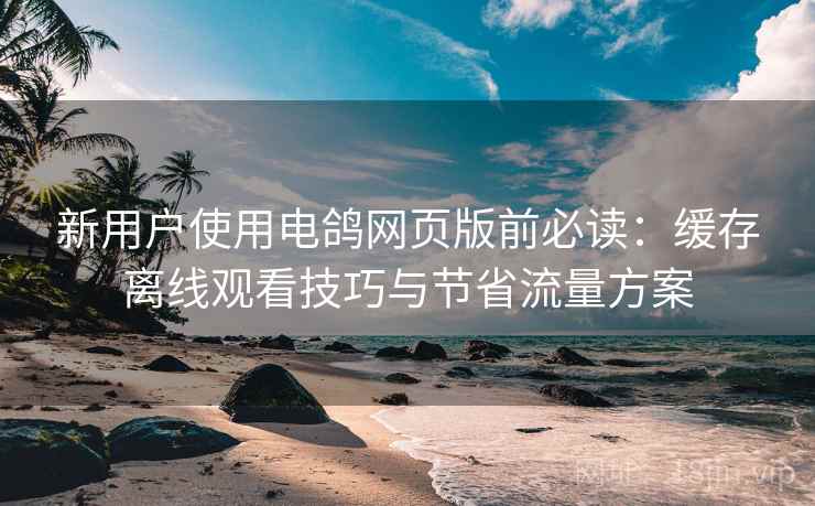 新用户使用电鸽网页版前必读：缓存离线观看技巧与节省流量方案