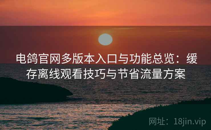 电鸽官网多版本入口与功能总览：缓存离线观看技巧与节省流量方案