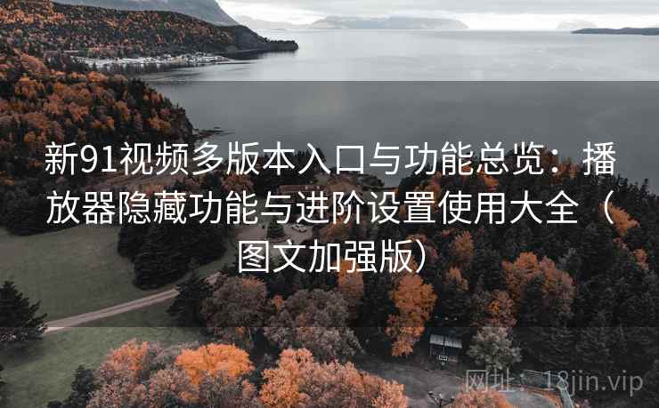 新91视频多版本入口与功能总览：播放器隐藏功能与进阶设置使用大全（图文加强版）