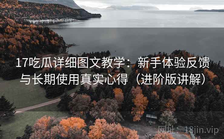 17吃瓜详细图文教学：新手体验反馈与长期使用真实心得（进阶版讲解）