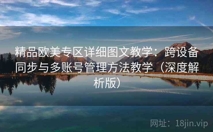 精品欧美专区详细图文教学：跨设备同步与多账号管理方法教学（深度解析版）