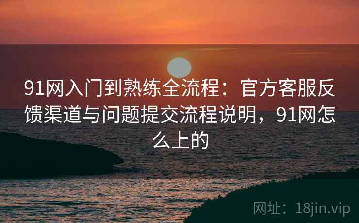 91网入门到熟练全流程:官方客服反馈渠道与问题提交流程说明,91网怎么上的 91网入门到熟练全流程:官方客服反馈渠道与问题提交流程说明,91网怎么上的