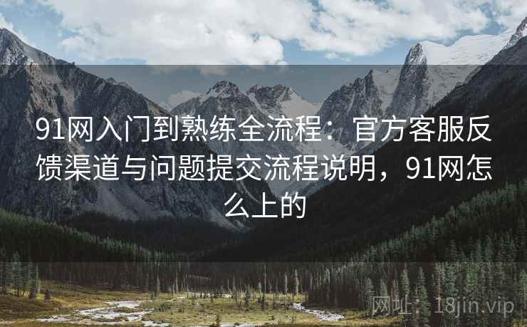 91网入门到熟练全流程:官方客服反馈渠道与问题提交流程说明,91网怎么上的 91网入门到熟练全流程:官方客服反馈渠道与问题提交流程说明,91网怎么上的