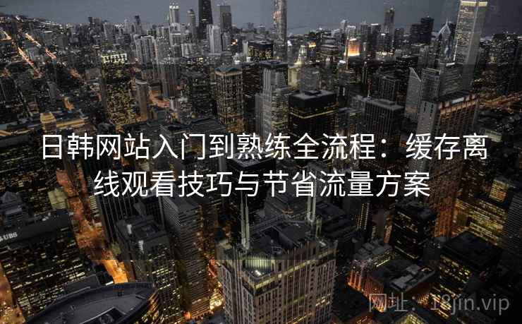 日韩网站入门到熟练全流程:缓存离线观看技巧与节省流量方案 日韩网站入门到熟练全流程:缓存离线观看技巧与节省流量方案