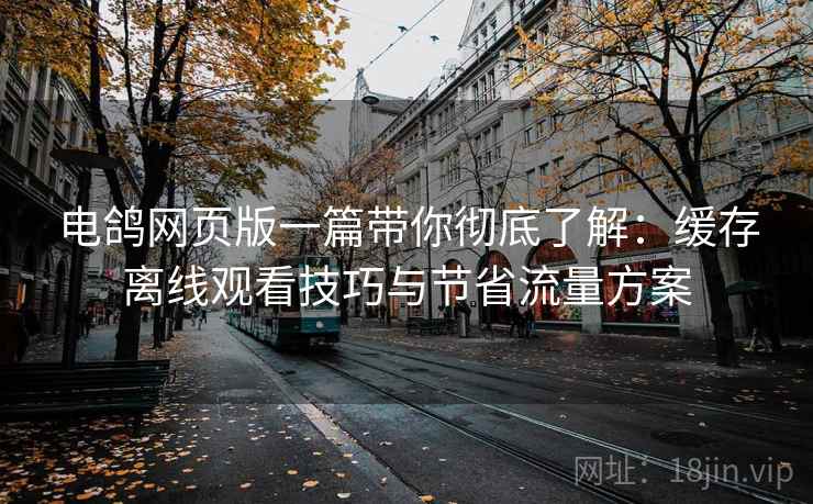 电鸽网页版一篇带你彻底了解:缓存离线观看技巧与节省流量方案 电鸽网页版一篇带你彻底了解:缓存离线观看技巧与节省流量方案