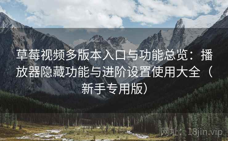 草莓视频多版本入口与功能总览：播放器隐藏功能与进阶设置使用大全（新手专用版）